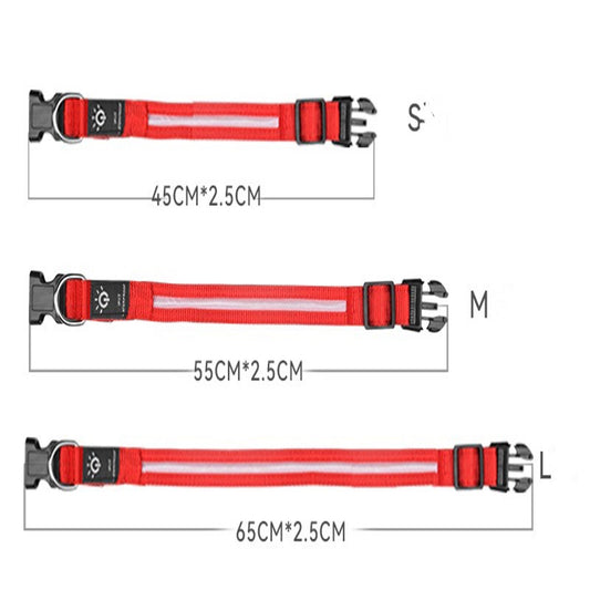 LED Pet Collar Waterproof Lighting Collar Night PawLuxe Vault