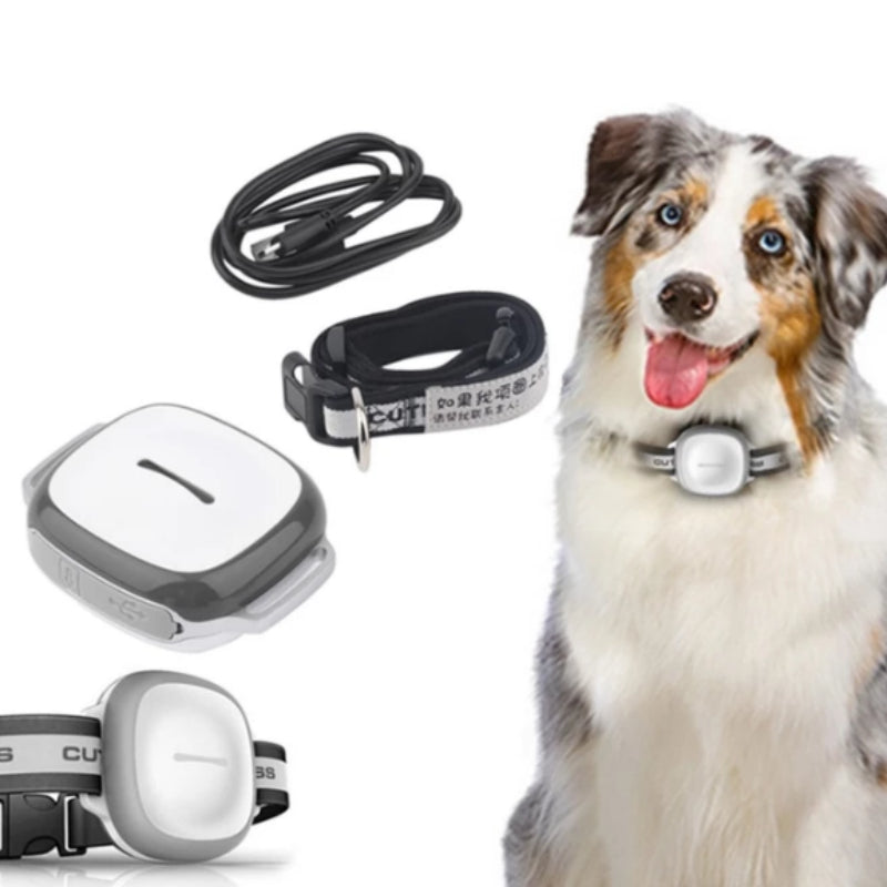 Collared Cat Dog Tracker Pet Locator Pet PawLuxe Vault