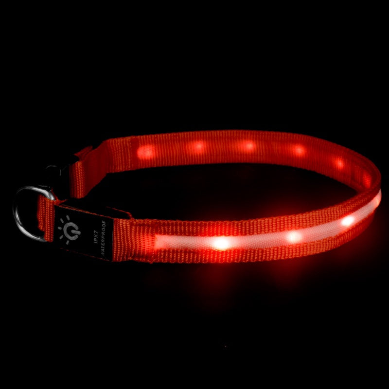 LED Pet Collar Waterproof Lighting Collar Night PawLuxe Vault