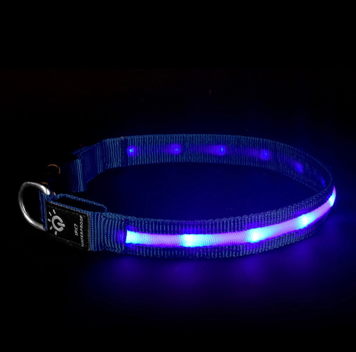LED Pet Collar Waterproof Lighting Collar Night PawLuxe Vault
