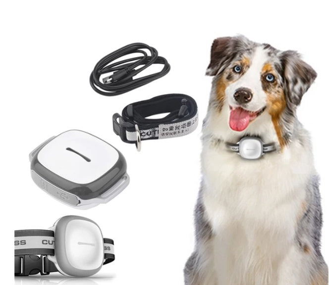 Collared Cat Dog Tracker Pet Locator Pet PawLuxe Vault