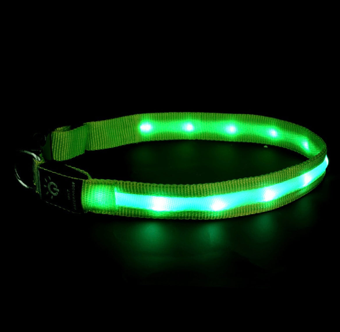 LED Pet Collar Waterproof Lighting Collar Night PawLuxe Vault