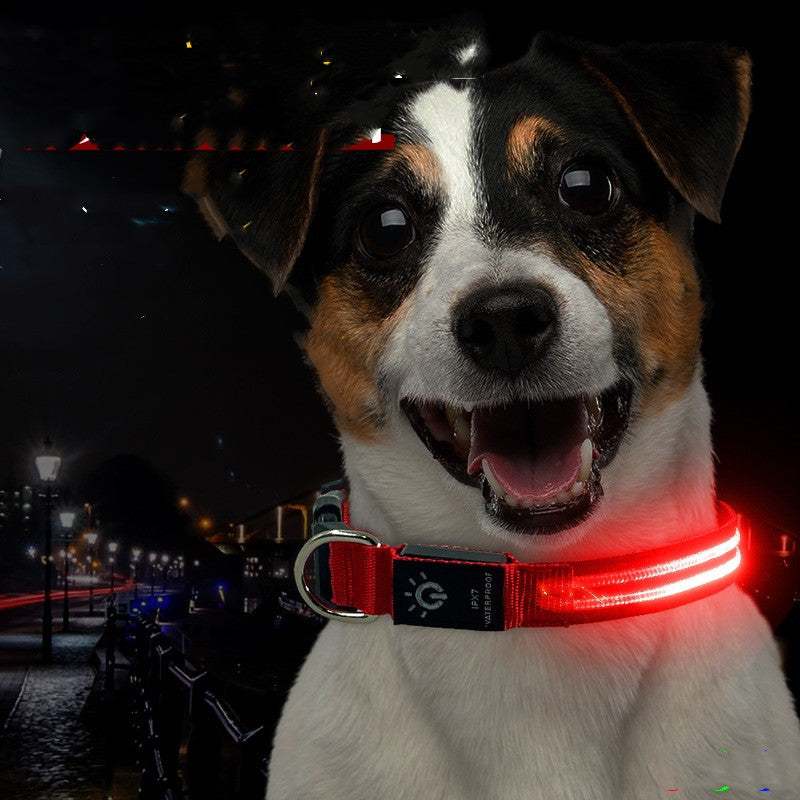 LED Pet Collar Waterproof Lighting Collar Night PawLuxe Vault