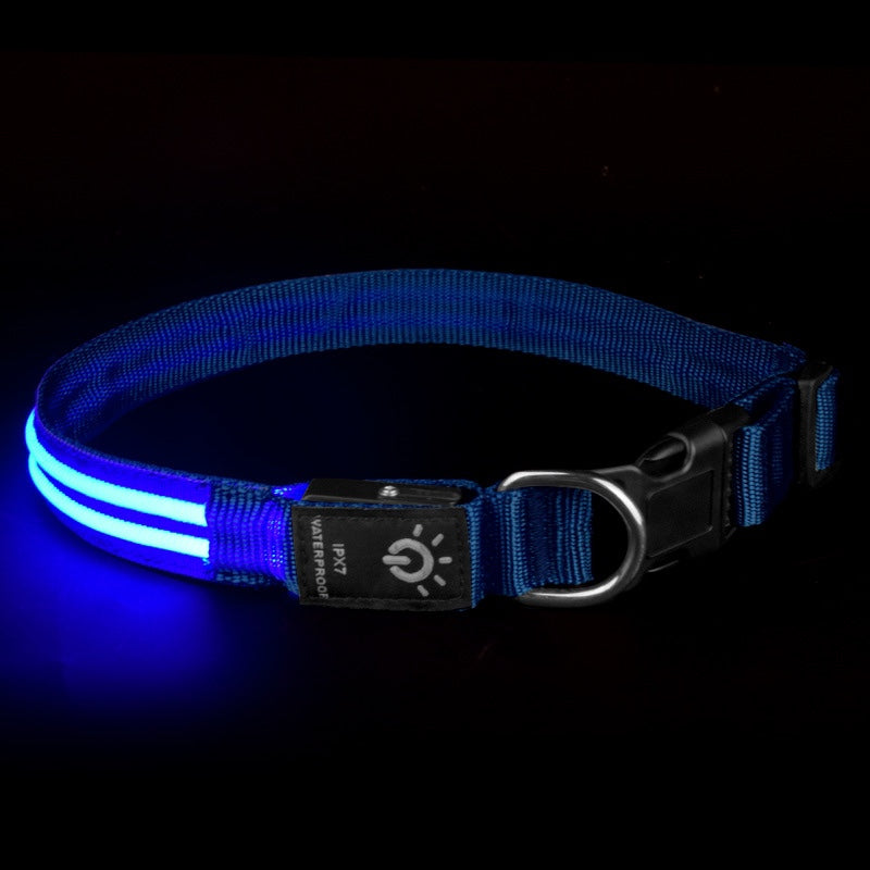LED Pet Collar Waterproof Lighting Collar Night PawLuxe Vault